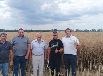 ВПРОВАДЖУЄМО У ВИРОБНИЦТВО