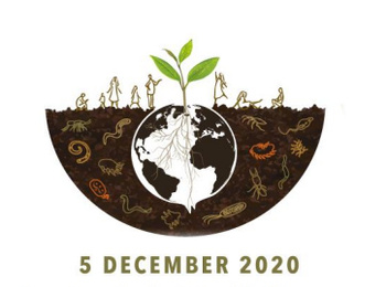Участь у семінарі "Всесвітній День ґрунту" (World Soil Day) в режимі онлайн