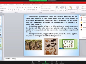 Лекційне заняття на тему «The role of living organisms in soil formation»