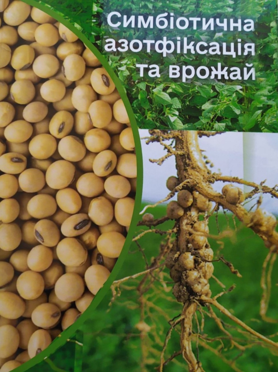 Азотофіксація та врожай